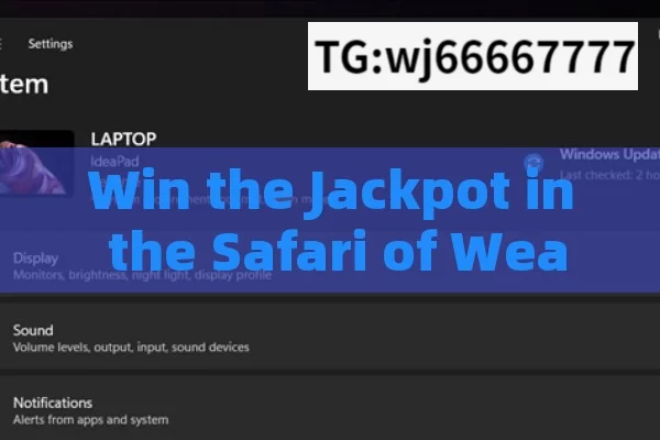 Win the Jackpot in the Safari of Wealth，Win the Jackpot in the Wealth Safari